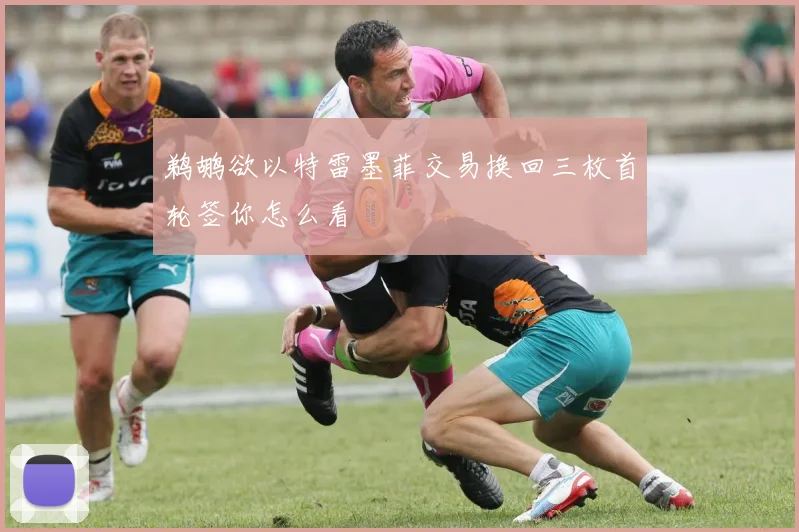 鹈鹕欲以特雷墨菲交易换回三枚首轮签你怎么看